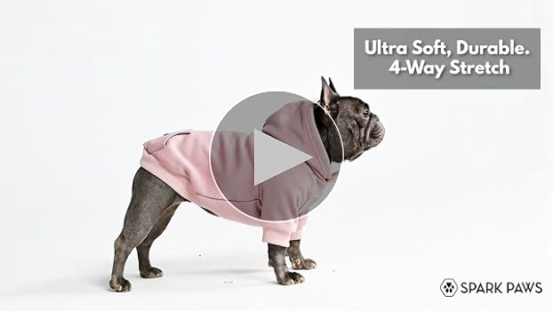 犬服・アクセサリー work clothes for dogs Amazon.com : MANON ROSA Cute Dog Clothes Boy Dog Polo Shirt