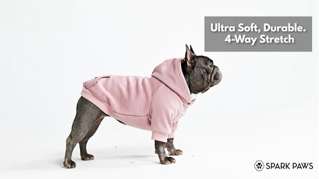 Amazon.com : Spark Paws Dog Hoodie – Premium Dog Sweater for Small