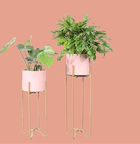 See full amazon price history chart for Nu Invention 2-Piece Modern Plant Stand Set with Tall Metal Stand,Mid Century Brass Decorative Standing Flower Succulent Pot Holder, Indoor Outdoor Terrace Patio Home Decor,Golden (White) Nu Invention 2-Piece Modern Plant Stand Set with Tall Metal Stand,Mid Century Brass Decorative Standing Flower Succulent Pot Holder, Indoor Outdoor Terrace Patio Home Decor,Golden (White) (B08HYWPVH7) Amazon Price History, Amazon Price Tracker
