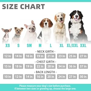 KOOLTAIL Basic Dog Hoodie Soft Warm Dog Hoodie Sweater with Leash Hole and Pocket Dog Winter Coat Cold Weather Clothes Sweatshirt for Small Medium Large Dogs Puppy Cat Boys Girls Lake Blue XS