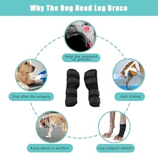 1 Coppia Ginocchio per Animali Gomitiere, Ginocchiera per Cani di Supporto Cane, Ginocchiere per Gambe Anteriori e Posteriori per Cani, Tutore per Gamba del Cane, Tutore per Zampe Anteriori Canino