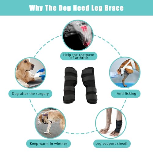 1 Paar Gelenkbandage für Hunde, Hunde Kniebandage, Hunde Gelenkbandage Stützbandage, Hunde Bein Sprunggelenk Wrap, Kniebandage für Hunde, Haustier Schutzausrüstung, Haustier Hunde Handgelenk Bandage