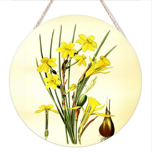 Elevate Your Space with the Kisoyo Round Hanging Wood Sign W