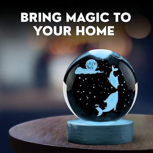 Image of 2Pcs 3D Crystal Old Dolphin Lamp | Classic & Modern New Dolphin Design with USB Power & Wooden Base | A Unique Home Decor, Desk & Office Perfect for Girls, Boys,