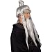 InCharacter Sensei Wig, Beard & Brows Set Costume Accessory Kit