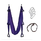 Techcell Aerial Anti-Gravity Yoga Hammock Swing Fitness Inversion Pilates Yoga Trapeze/Yoga Swing/Sling/Inversion Tool (Violet)