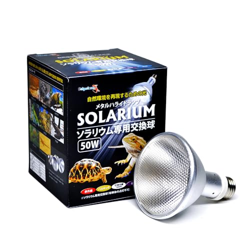 �[���X�C �\�����E�� ������ 50W