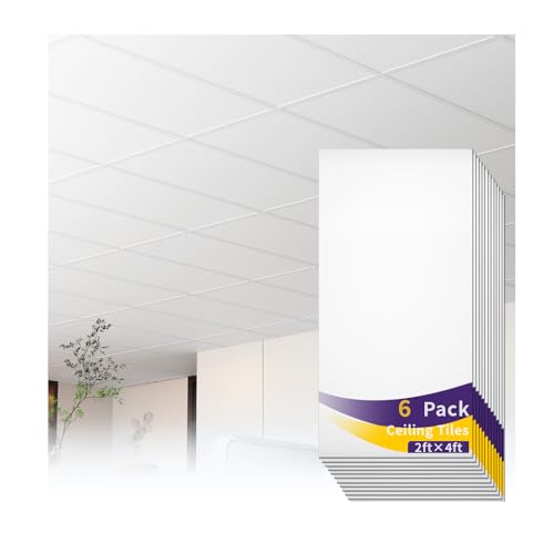LooYee 2x4FT White Ceiling Tiles, 24x48 Inch 6 PCS PVC