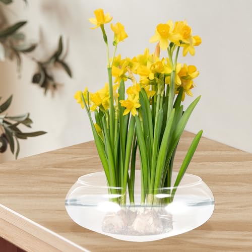Pot de fleurs vintage avec motif délicat en verre haut de gamme - 7