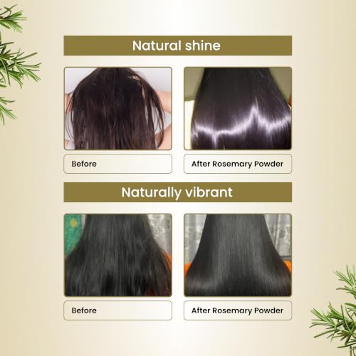Image of Havintha Natural Rosemary Dried Leaves Powder - 100% Pure & Natural Herb for Hair Growth - 100 gm | Made from premium-quality dried rosemary leaves, finely ground with no added chemicals