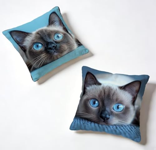 �N�b�V�����J�o�[ 55x55 cm 2���Z�b�g �� ���z�c�J�o�[ 55 x 55 ���O �h�� �\�t�@�[�N�b�V���� �L ���� �ϖ� ���� ���� ���J�o�[ HD���ʈ�� �B���t�@�X�i�[�t�� Cushion Covers, �t�ƉĂ̗����ɓK���Ă��܂� �Ⴄ�� 