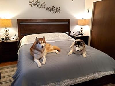 SILLY LEGACY Thin Reversible Waterproof Protective Cover or Liner for Bed or Couch, for Dogs and Cats (Double 208 x 198 cm, Grey)
