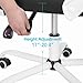 AuAg Modern White Gaming & Office Mesh Back Ergonomic High Back Lumbar Support Adjustable Swivel Rolling Chair - White