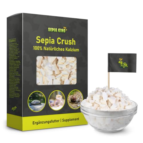 Sepia King - Sepiaschalen Bruch in Premium Qualität - Kalzium für Schildkröten Bartagame Geckos Reptilien - Futterkalk Kalk Terrarium Zubehör - Keine Reste oder Abfall