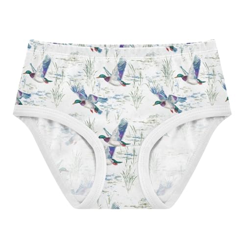Girls Underwear Soft Cotton Mallard Ducks Kids Panties in Sizes 2/3t, 4t, 5t, 6 and 8