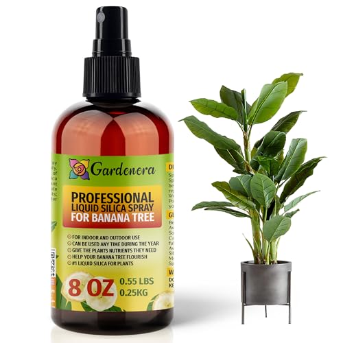 𝐒𝐔𝐏𝐄𝐑𝐈𝐎𝐑 Liquid Silica Boost Fertilizer and Supplement Spray for Banana