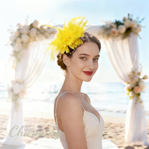 Image of DRESHOW Womens Fascinators Hats Tea Party Hats for Women Pearl Lace Feather Hat Vintage Derby Hats for Wedding Cocktail