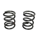 ARC Racing (2) Pack of 26Lb Valve Springs, White