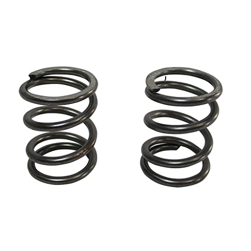ARC Racing (2 resortes de válvula de 26 Libras, Color Blanco
