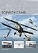 Sopwith Camel (Air Vanguard)