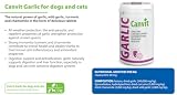 Canvit Knoblauchtabletten für Hunde & Katzen | Nahrungsergänzungsmittel Hunde mit Curcuma Unterstützung | Immununterstützung für Hund | Vitiman B12 Magen-Darm-Gesundheit und Verdauungsunterstützung |