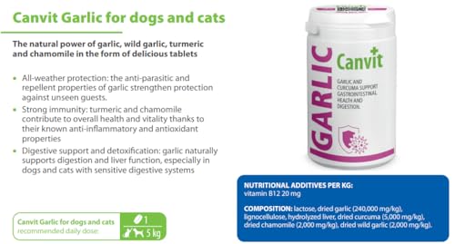 Canvit Knoblauchtabletten für Hunde & Katzen | Nahrungsergänzungsmittel Hunde mit Curcuma Unterstützung | Immununterstützung für Hund | Vitiman B12 Magen-Darm-Gesundheit und Verdauungsunterstützung |