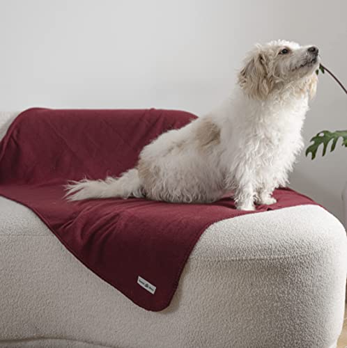 Special Sg Glory Fleece Throw Blanket Set Bulk For Travel Kids Outdoor Wedding Pet (Burgundy, Pack Of 6 50X60 Inches) #TOP6