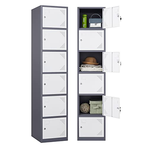Sightlife Armoire de Rangement avec Étagères pour Bureau École Vestiaire Armoire à casiers 6 Portes Gym Acier Laqué 160 * 38 * 43.2cm Gris/Blanc