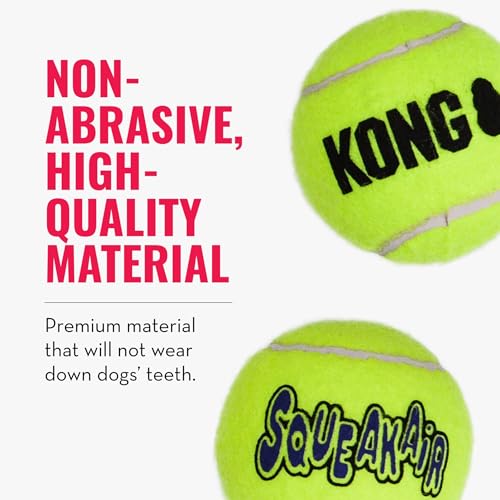 KONG – Squeakair Balls – Premium-Hundespielzeug, Quietschende Tennisbälle, Zahnschonend – Für Mittelgroße Hunde (6er–Pack)