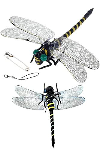 Ij}  I Q΍ Xgbv Ss AEghA Lv OV ނ St ql̈S {TCY ^ ^ (Large, 1)