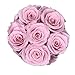 PRESERVED ROSES | GIFT Flowers | 100% REAL ROSES That Lasts for Years | Gift for her | Flowers for ALL OCCASIONS ready to GIFT, Birthday Gift, Valentine's Day Gift (6 PINK Roses (black box))