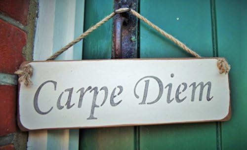 Eletina F35 Rustic Wooden Signs Carpe Diem Wood Signs Wall Art Decor Kitchen Cafe Pub Gift 6X12 Inch
