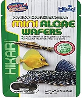Hikari Mini Algae Wafers - 0.77 oz