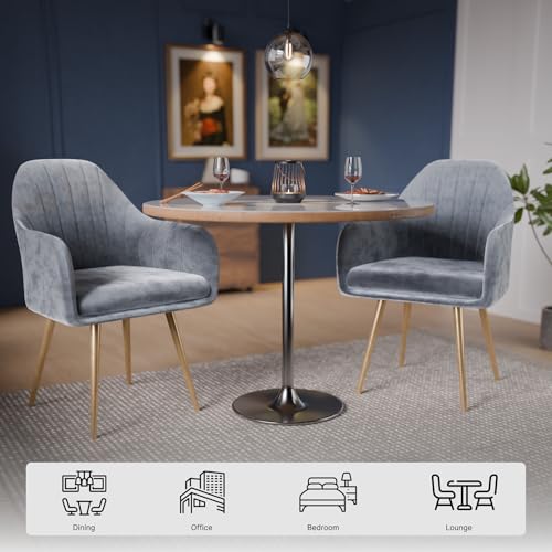 Image of Milano Velvet Comfort Dining Chair with Deep Cushion Seating, Strong Wooden Frame & Metal Support Legs for Dining, Living Room, Bedroom, Balcony & Office (Soft Grey)