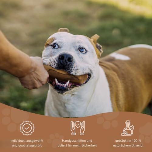 Wildfang® Olivenholz für Hunde, Größe L – robuste Kau-Sticks für Starke Kauer, Welpen-Kauspielzeuge zur Zahnung, Training der Kaumuskulatur, Olivenholz-Kaustab für Hunde (über 25kg)