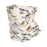 Yaxongx Retro Birds Neck Gaiter for Men Women Seamless Bandana Fashion Face Scarf Mask Headwear Warmer Balaclava Head Wrap for Outdoor Sport Running Hunting