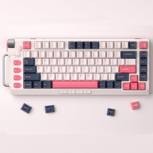 nuphy Field75 Gaming Keyboard,83 Keys,RGB Wireless Mechanical Keyboard,Bluetooth,2.4G,USB C Rechargeable for Windows, macOS, Android, iOS- Noether Cherry Speed Silver