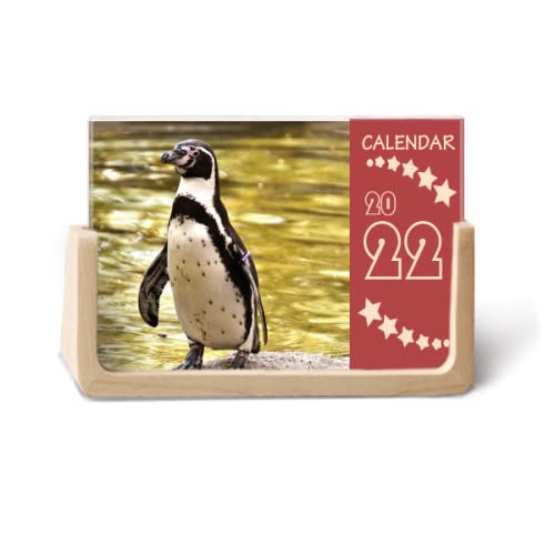 Pingouin de l'océan Austral calendrier bureau 2022 décoratif pour le salon