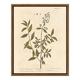 VIYYIEA Framed Wall Art Decor with Holder Boho Minimalist Botanical Print Canvas Wall Art Pictures Rustic Vintage Plant Prints Farmhouse Cottage Artwork Home Kitchen Aesthetic Living Room Decor 8x10in