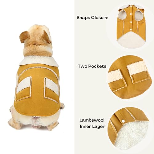 CHEERTAILS Casacos para cães pequenos, casacos para cães pequenos para o inverno para cães médios me