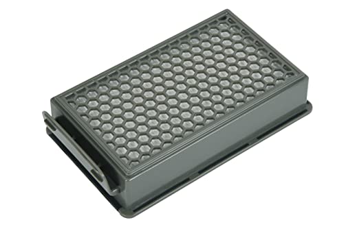 Rowenta Zr903501 Filtro Uscita Aria Alta Filtrazione, Grigio, 171 X 114 Mm