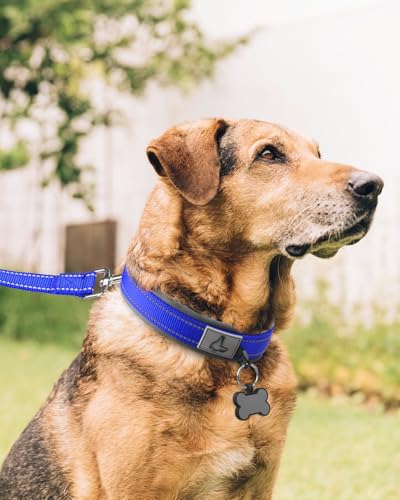 Image of Joytale Dog Collar for Extra Large Dogs, Neoprene Padded and Adjustable, Reflective Wide Heavy Duty Pet Collars with Durable Metal Belt Buckle for Walking, Navy Blue, XL
