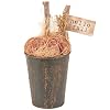 Primitives by Kathy Pumpkin in Bucket Sitter