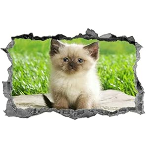 Muurstickers 3D Spiegelweergave Doorbreken De Muur Vinyl Muurstickers Verwijderbare DIY Vinyl Muurstickers Kat voor…