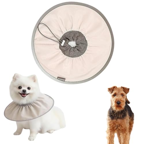 LifetipsEFVeA EFVLp GUxXJ[ h \tg y pPA ی Ȃߖh~ p EȒP 􂦂 PAJ[(RRAej(Lj