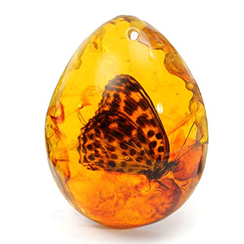 ExcLent Schmetterling Bernstein Harz Bernstein Schmetterling Insekt...