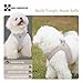 SMALL COMBINATION Adjustable Dog Harness with Leash, Reflective Mesh, No-Pull Design，Matching Lead Rope (Cream-Coloured, S)