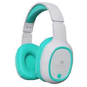 ZEBRONICS Thunder 60 hrs Playback time Bluetooth Wireless Headphone with FM, mSD, Playback with Mic (Sea Green)