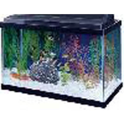 All Glass Aquarium AAG10015 Tank Black, 15-Gallon - Thumbnail 2