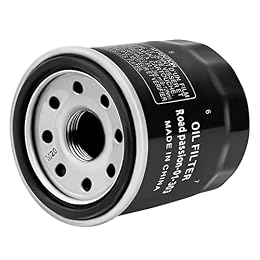 Road Passion 2520499 3084963 Oil Filter for ARCTIC CAT 650 V2 4X4 650 2005 / AUTO 650 /AUTO LE 650 2004-2005 / TS 650 2005